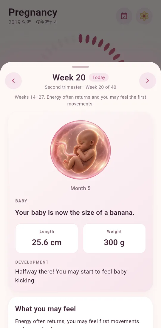 Your baby, week by week