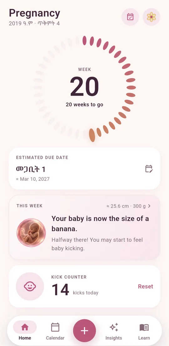 Pregnancy mode